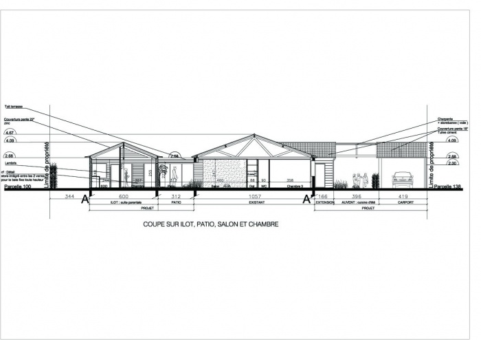 Extension d'une maison ( projet en cours ) : Coupe paysagre copie